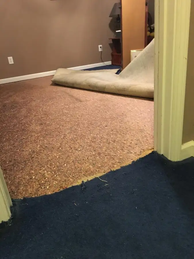 Carpet pad removal revealing water damage during Water Mitigation Services in Montevideo