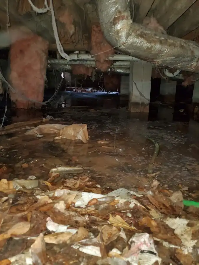 Crawl space flood assessment for Commercial Water Damage Restoration in Montevideo