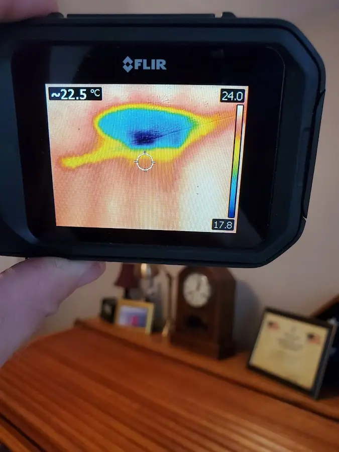 Thermal imaging inspection for water damage in Montevideo